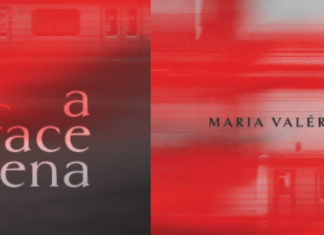 A face super serena de Maria Valéria Rezende
