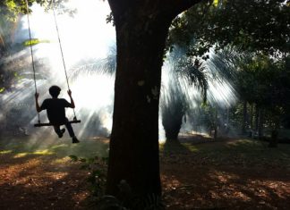 Através do olhar de Mario Friedlander