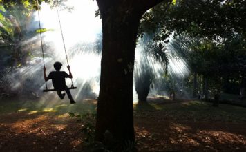 Através do olhar de Mario Friedlander