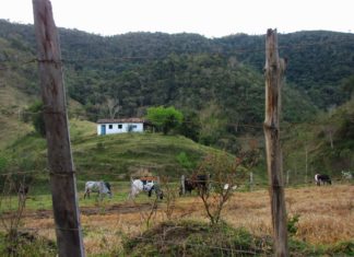 Tristeza do Jeca: serviços ecossistêmicos em perigo