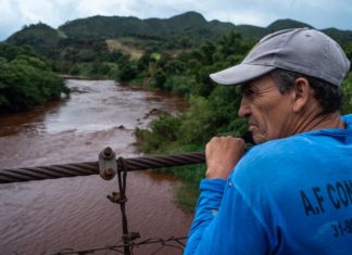 Diários de Brumadinho
