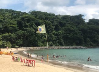 sincronicidade crônica