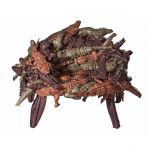 2011-Banquete-Jacaré-de-couro-©-Marcos-Cimardi-
