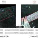 mapbiomas