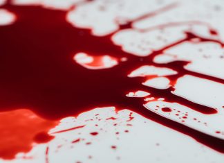 Sangue poluído