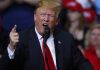 A lógica do insulto