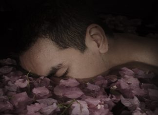 Narrativas poéticas e visuais se encontram na exposição Entre Instintos
