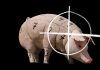 O veganismo chega à periferia