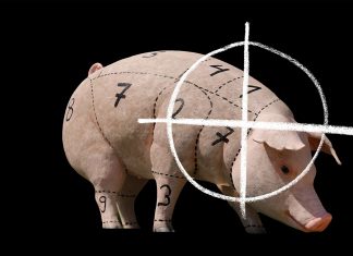 O veganismo chega à periferia