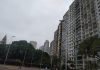 Reflexões sobre as jornadas cachorreiras na Praça Franklin Roosevelt