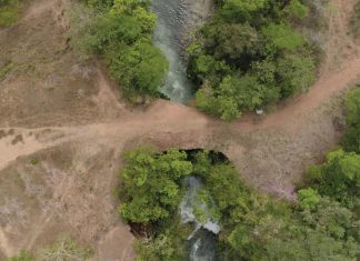 Terra sagrada sob tiros: O cerco ao Território Indígena Ponte de Pedra