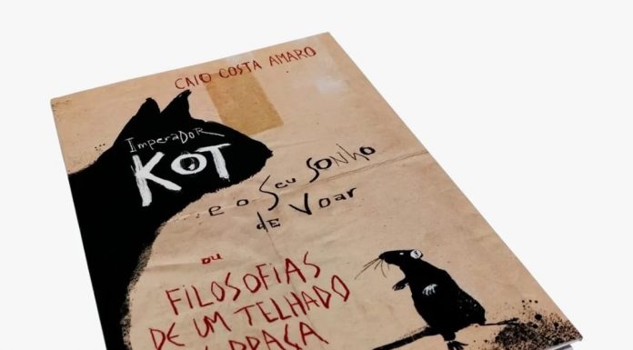 O sonho de voar na literatura de Caio Costa
