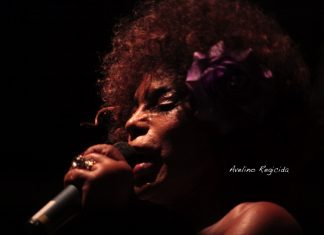 Roteiro: Rainha Elza na Virada e curtas no Festival Internacional