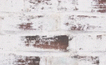 CC_GIF_02