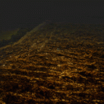 governo_estado_impacto_queimadas_300x250px