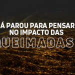 queimadas