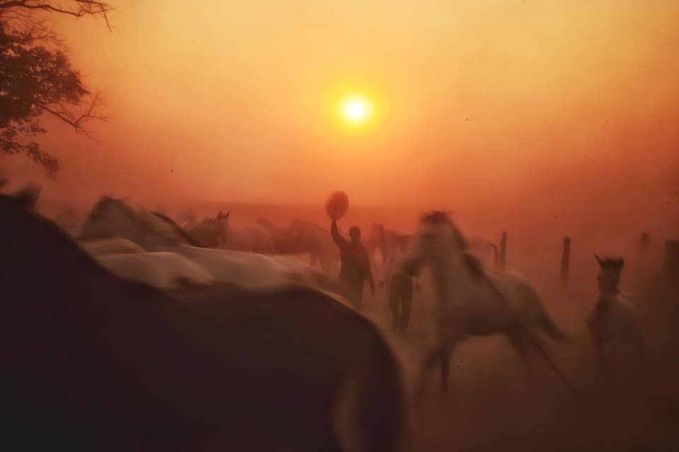 Fotógrafo Izan Petterle revela as Paisagens do Pantanal em chamas - A Lente