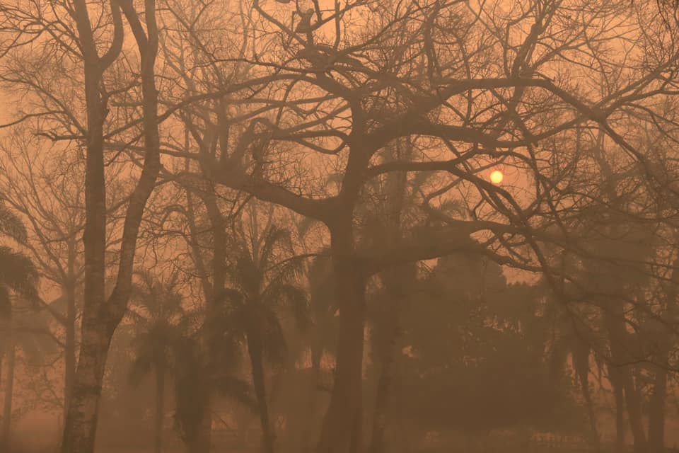 Fotógrafo Izan Petterle revela as Paisagens do Pantanal em chamas - A Lente