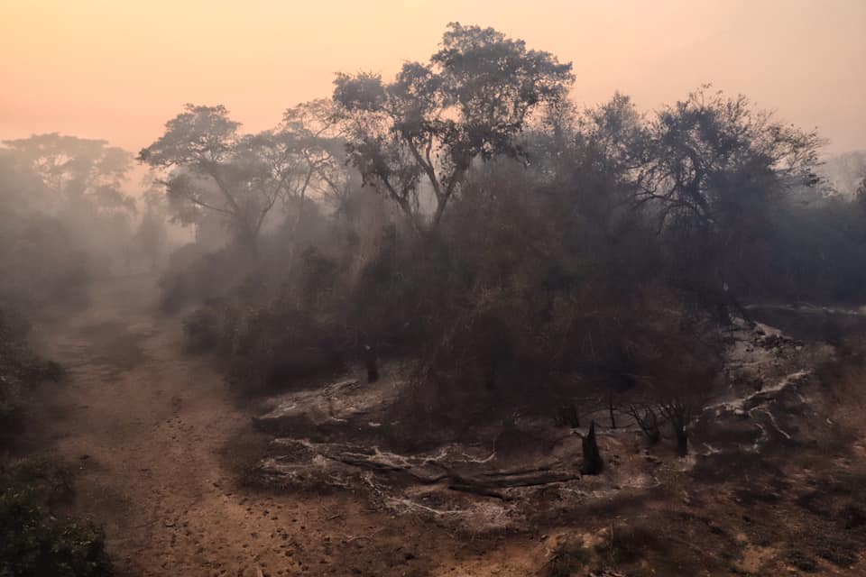 Fotógrafo Izan Petterle revela as Paisagens do Pantanal em chamas - A Lente