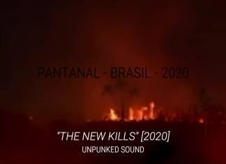 TV de Quinta(L): Unpunked Sound – The New Kills