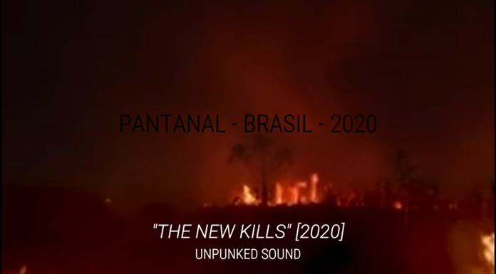 TV de Quinta(L): Unpunked Sound – The New Kills