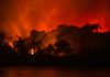 Pantanal: céu e inferno em terras alagadas