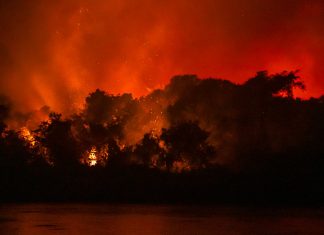 Pantanal: céu e inferno em terras alagadas