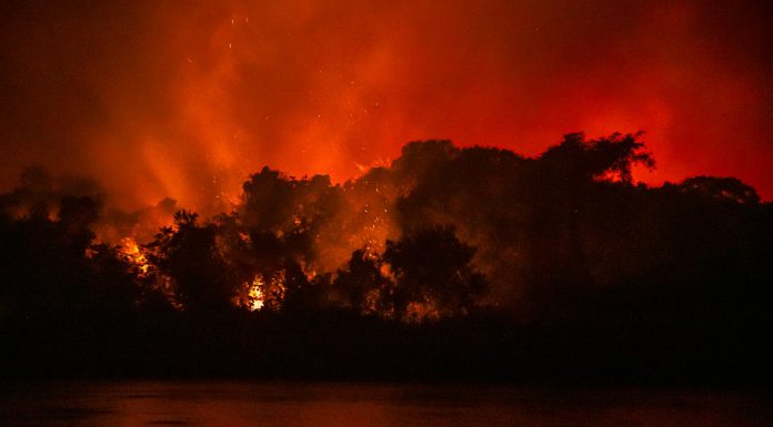 Pantanal: céu e inferno em terras alagadas