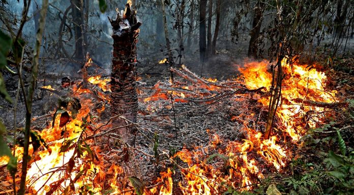 O Vale do Jamacá pede socorro