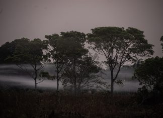 O Pantanal vai virar sertão