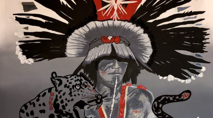 Nadja Lammel lança instalação artística “Virtus” em Chapada