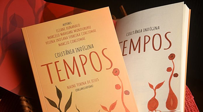 Literatura Indígena