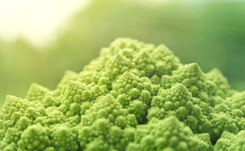 Diário de (Mais) Um Motorista – O Direito de Ter Salário e o Poder Vegano